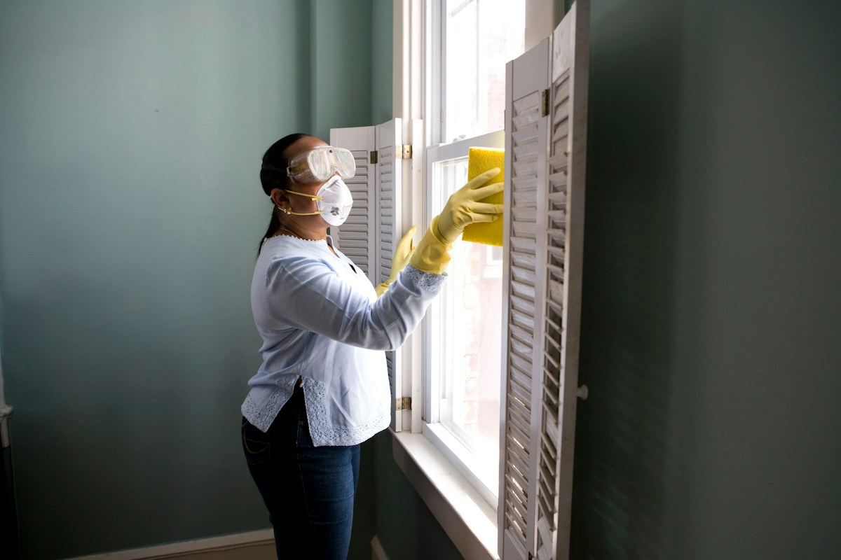 A Whistle Clean professional caring for a bright home